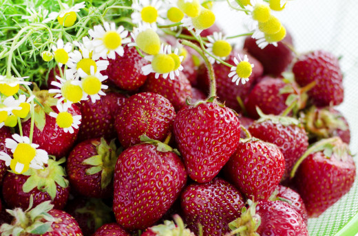 729982 (a): :2500x1650
